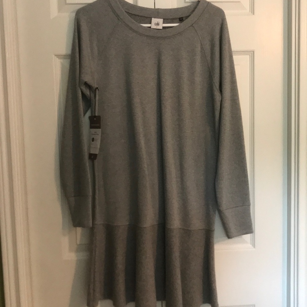 Cabi sweater dress